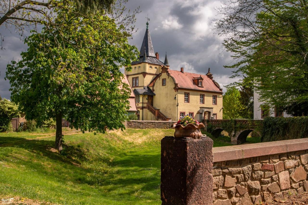 Ferienhaus Muldenschloesschen Daire Colditz Dış mekan fotoğraf